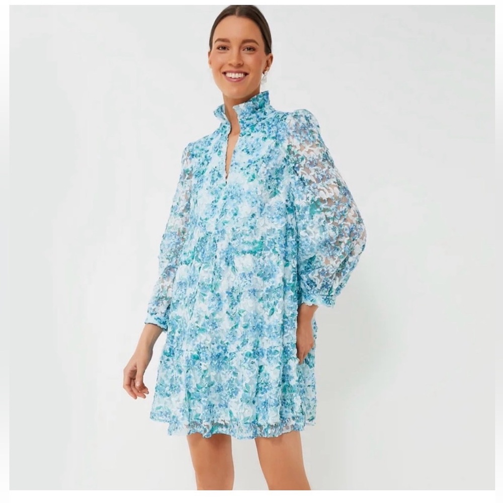 Tuckernuck Water's Edge Hydrangea Organza Palmerston Dress
